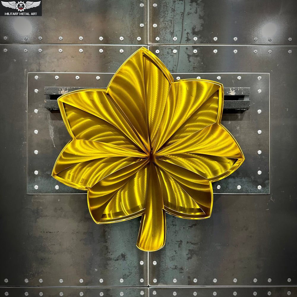 US Officer Rank (O-1 through O-5)