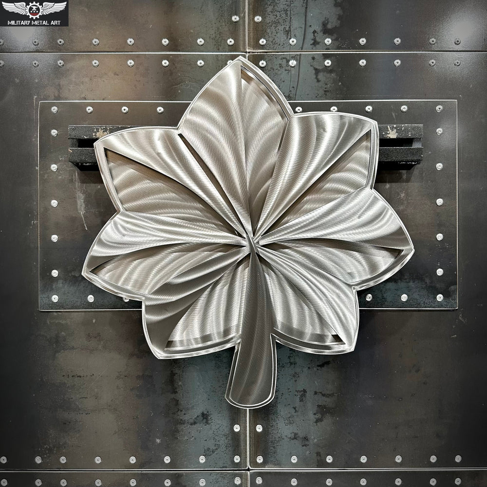 US Officer Rank (O-1 through O-5)