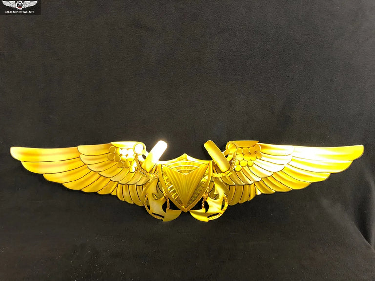 Unmanned Aircraft System (UAS) Officer