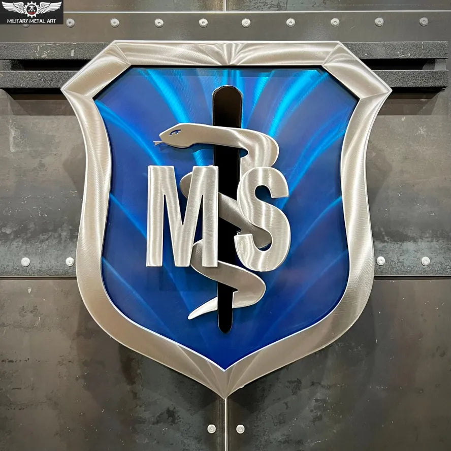 Air Force Medical Service Corps